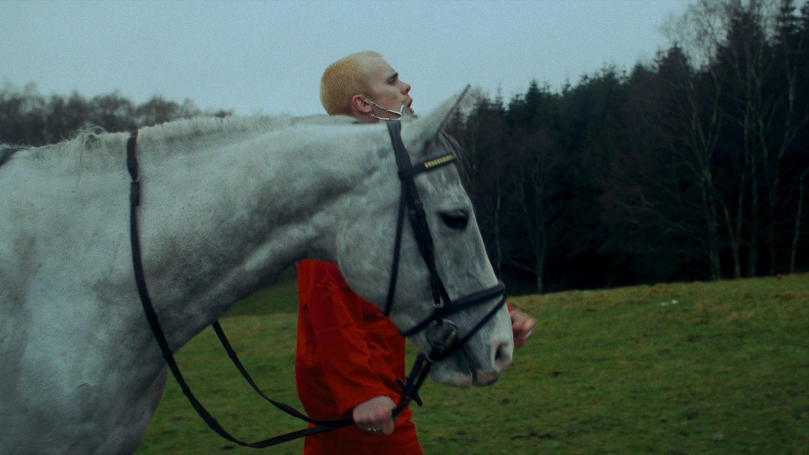 Still from Kind mod Kind by DAVAI
